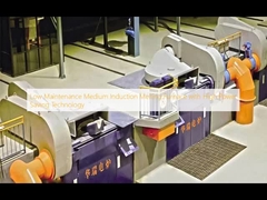 Middelgrote inductie-smeltoven met laag onderhoud en hoge energiebesparende technologie